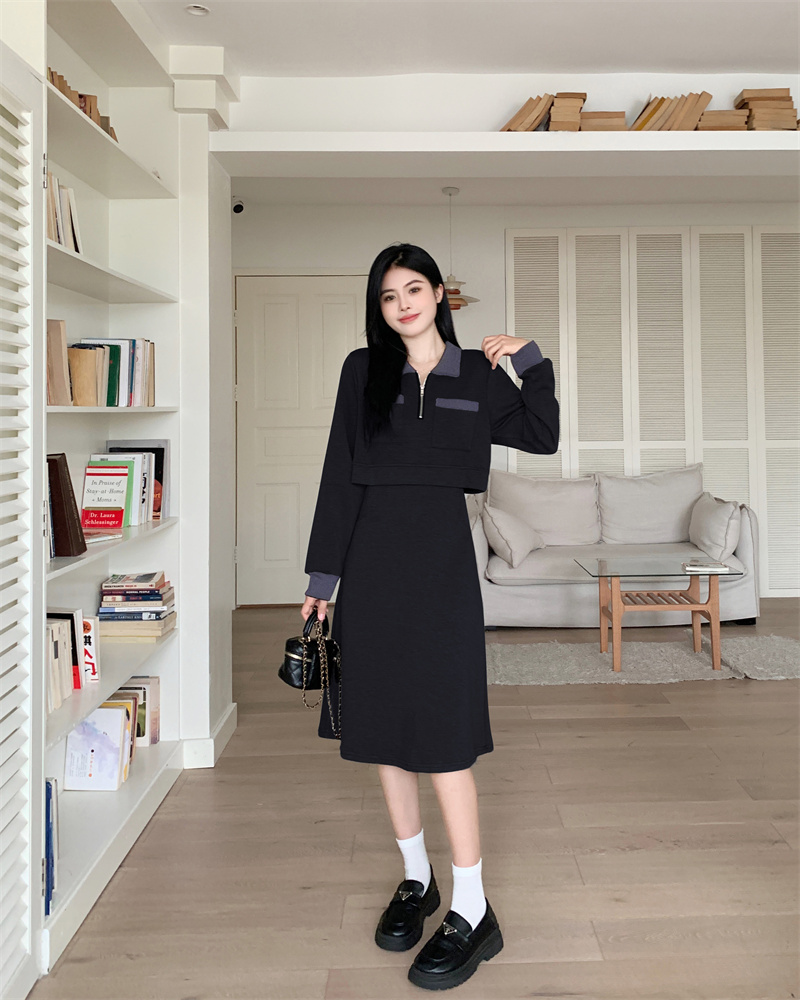 Plus Size Color Block Collar Pocket Long Sleeve Dress for Women Autumn Commute
